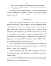 Kauno, kaip logistikos centro, galimybės 8 puslapis