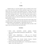 Kauno, kaip logistikos centro, galimybės 10 puslapis