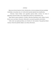 Kelionės į Florenciją organizavimas 2 puslapis