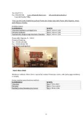 Kelionės į Florenciją organizavimas 13 puslapis