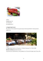 Kelionės į Florenciją organizavimas 15 puslapis