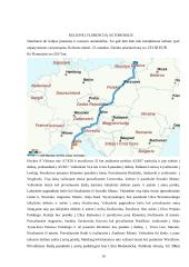 Kelionės į Florenciją organizavimas 10 puslapis