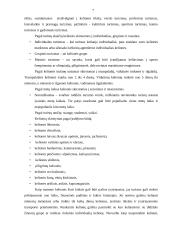 Kelionės maršrutas: Pažintis su Pamario kraštu ir Žemaitijos miesteliais 6 puslapis