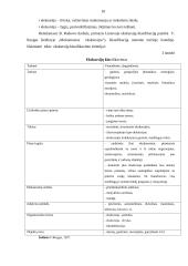 Kelionės maršrutas: Pažintis su Pamario kraštu ir Žemaitijos miesteliais 9 puslapis