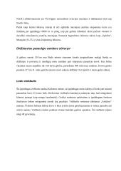 Kelionės maršrutas: po šiaurės Norvegiją 7 puslapis