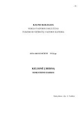 Kelionės organizavimas: Šveicarija 19 puslapis