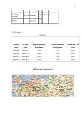 Kelionės organizavimas: Šveicarija 5 puslapis