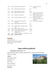 Kelionės organizavimas: Šveicarija 8 puslapis