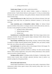 Kelionės organizavimo paslaugas teikiančios įmonės klientai ir jų aptarnavimas 2 puslapis