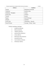 Kelionių organizavimo įmonės "Kelias" steigimo ir veiklos organizavimo projektas 16 puslapis