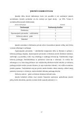 Kelionių organizavimo įmonės "Kelias" steigimo ir veiklos organizavimo projektas 17 puslapis