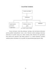 Kelionių organizavimo įmonės "Kelias" steigimo ir veiklos organizavimo projektas 18 puslapis