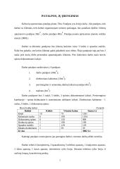 Kelionių organizavimo įmonės "Kelias" steigimo ir veiklos organizavimo projektas 7 puslapis