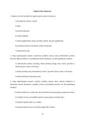 Kelionių organizavimo įmonės "Kelias" steigimo ir veiklos organizavimo projektas 10 puslapis