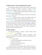 Keramika, molio panaudojimas 13 puslapis