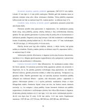 Keramika, molio panaudojimas 16 puslapis