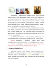 Keramika, molio panaudojimas 19 puslapis