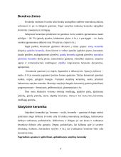 Keramika, molio panaudojimas 4 puslapis