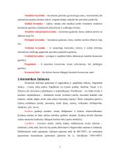 Keramika, molio panaudojimas 5 puslapis