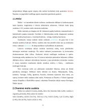 Keramika, molio panaudojimas 6 puslapis