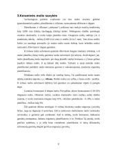 Keramika, molio panaudojimas 8 puslapis