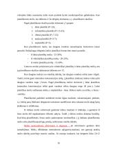 Keramika, molio panaudojimas 10 puslapis