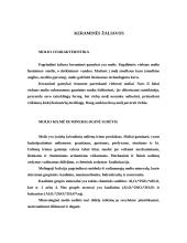 Keraminės gamybos vystymasis Lietuvoje 2 puslapis