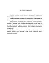 Keraminės gamybos vystymasis Lietuvoje 4 puslapis