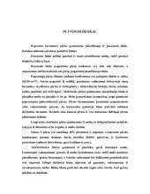 Keraminės gamybos vystymasis Lietuvoje 5 puslapis