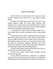 Keraminės gamybos vystymasis Lietuvoje 8 puslapis