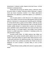 Keraminės gamybos vystymasis Lietuvoje 9 puslapis