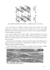 Kietieji ir plastiniai tepalai. Sudėtis, savybės ir panaudojimo sritys 16 puslapis