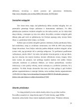 Kinijos ir Indijos socialinės problemos 14 puslapis