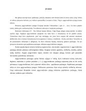 Klaipėdos miesto apgyvendinimo įstaigų teikiamos papildomos paslaugos 2 puslapis