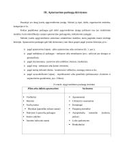 Klaipėdos miesto apgyvendinimo įstaigų teikiamos papildomos paslaugos 6 puslapis