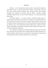 Klaipėdos miesto savivaldybės 2008 metų biudžetas 12 puslapis