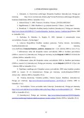 Klaipėdos miesto savivaldybės 2008 metų biudžetas 13 puslapis