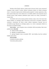 Klaipėdos miesto savivaldybės 2008 metų biudžetas 3 puslapis