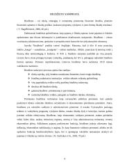 Klaipėdos miesto savivaldybės 2008 metų biudžetas 4 puslapis