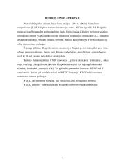 Klaipėdos turizmo ir kultūros informacijos centras 2 puslapis