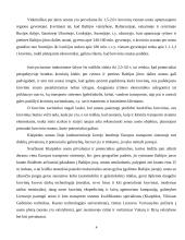 Klaipėdos uosto vaidmuo Europos transporto sistemoje 4 puslapis