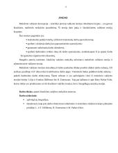 Klasikinės vadybos atstovai 2 puslapis