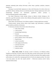 Klasikinės vadybos atstovai 11 puslapis