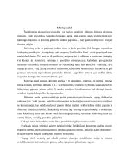 Įmonės klientų analizė 3 puslapis