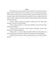 Įmonės klientų analizė 6 puslapis