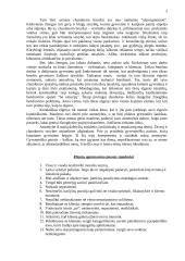 Klientų aptarnavimas 3 puslapis