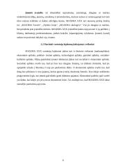 Klientų valdymo efektyvumas: UAB "Maxima XXX" 6 puslapis