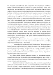 Komandinio darbo įvertinimas 3 puslapis