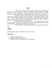 Komandinio darbo privalumai 2 puslapis