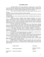 Komandinio darbo privalumai 3 puslapis